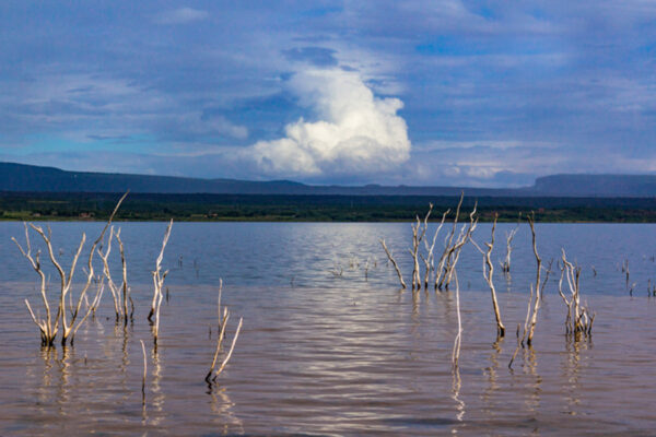 Petrolina I